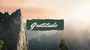 GRATITUDE